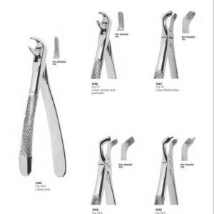 D012 Dental Extracting Forceps English Pattern lower canines and premolars third molars