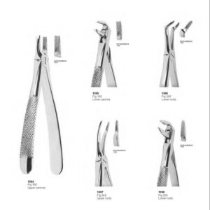 D016 Dental Extracting Forceps English Pattern upper canines lower canines upper roots lower roots
