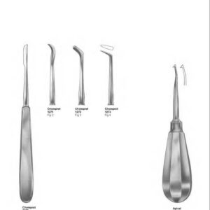 D042 Dental Root Elevators Chompret Apical